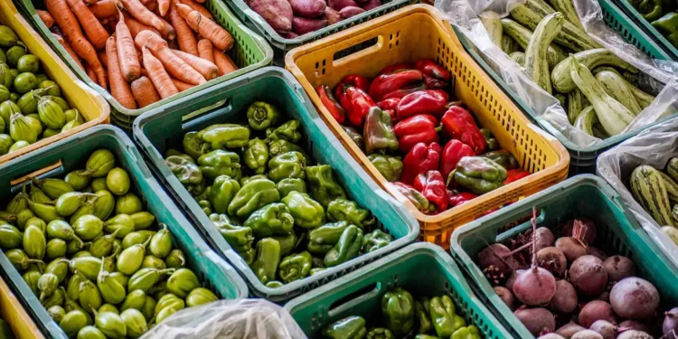 Alimentos Bolsa Família